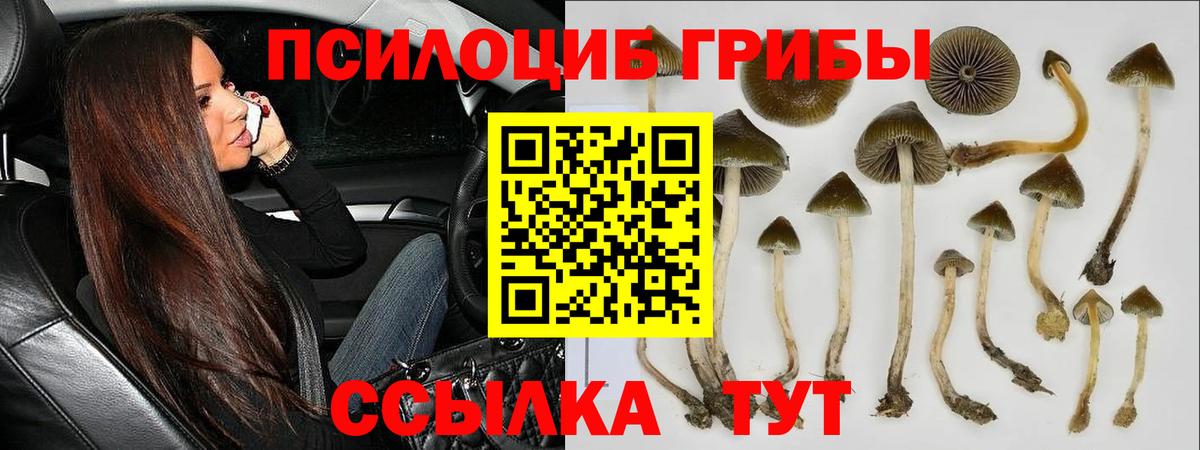 Галлюциногенные грибы мухоморы  Вход с VPN  Краснодар 